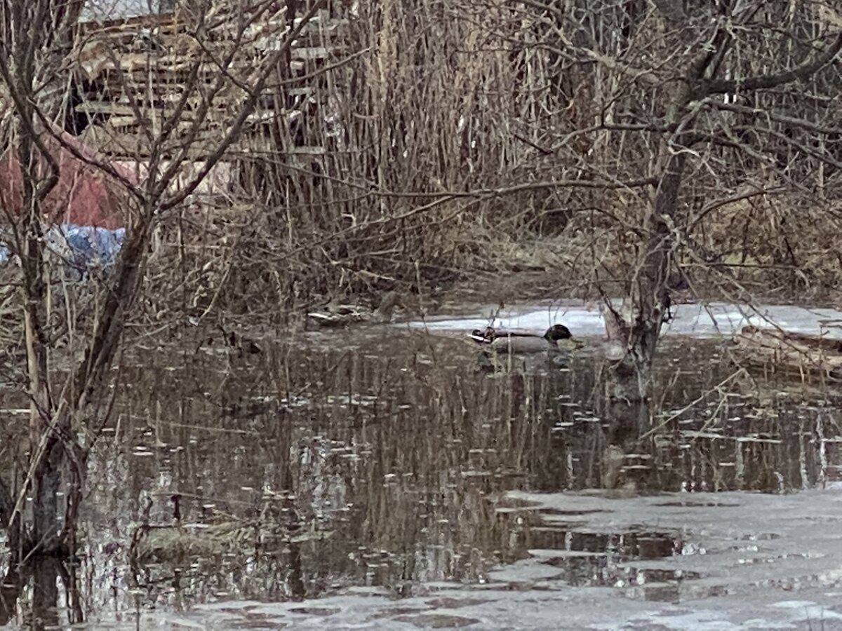 Фото: Подслушано Ковров Вконтакте