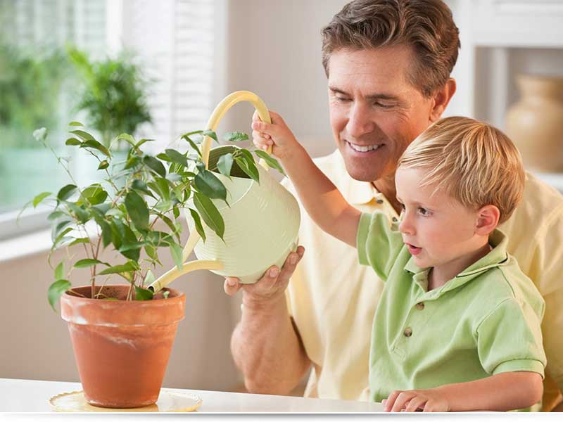 Бытовых забот. Дети помогают родителям. Забота о детях. Ответственность в семье. Домашние растения для детей.