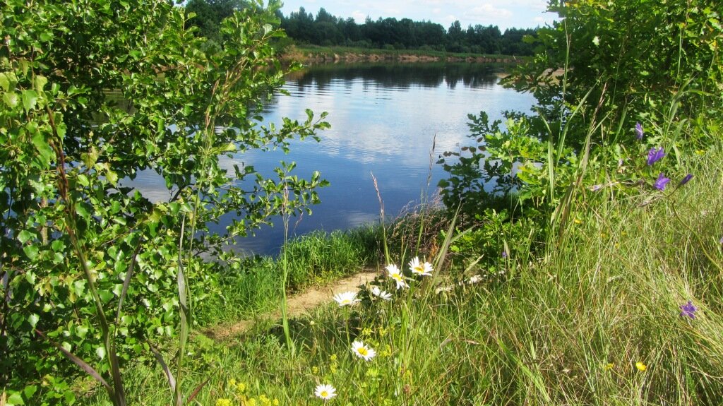рыбинское водохранилище ловля щуки. рыбинская рыбалка фестиваль. рыбалка рыбинские буды. рыбинка рыбинское водохранилище. рыбалка рыбинские буды.