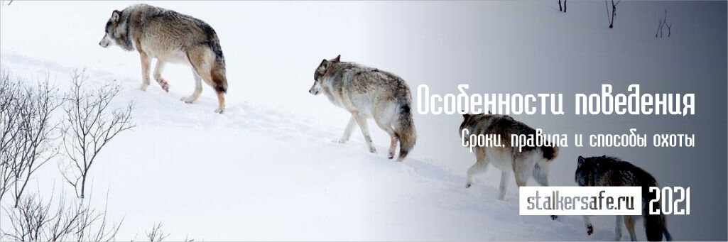 Интернет-магазин Stalkersafe.ru