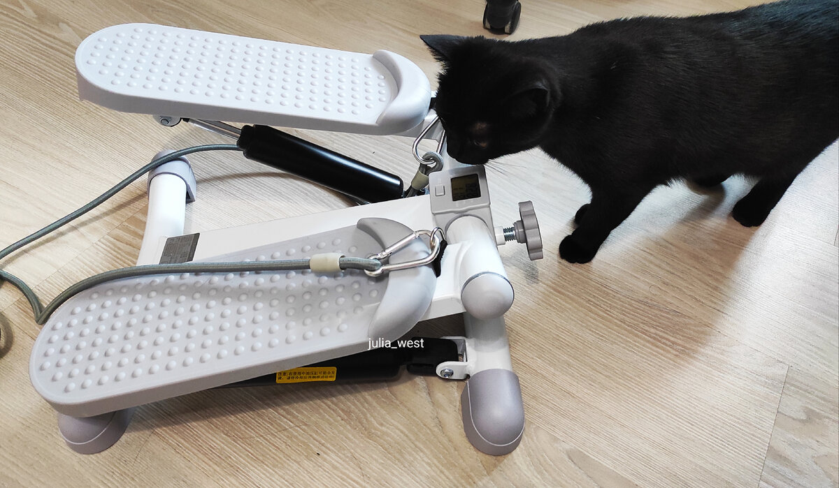 Сабрина испытывает к нему неподдельный интерес)))