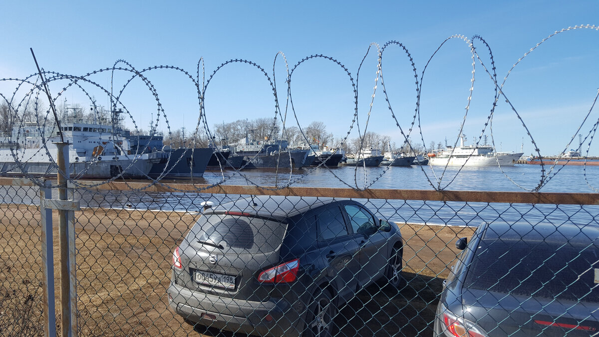 Какие секреты охраняет этот забор?