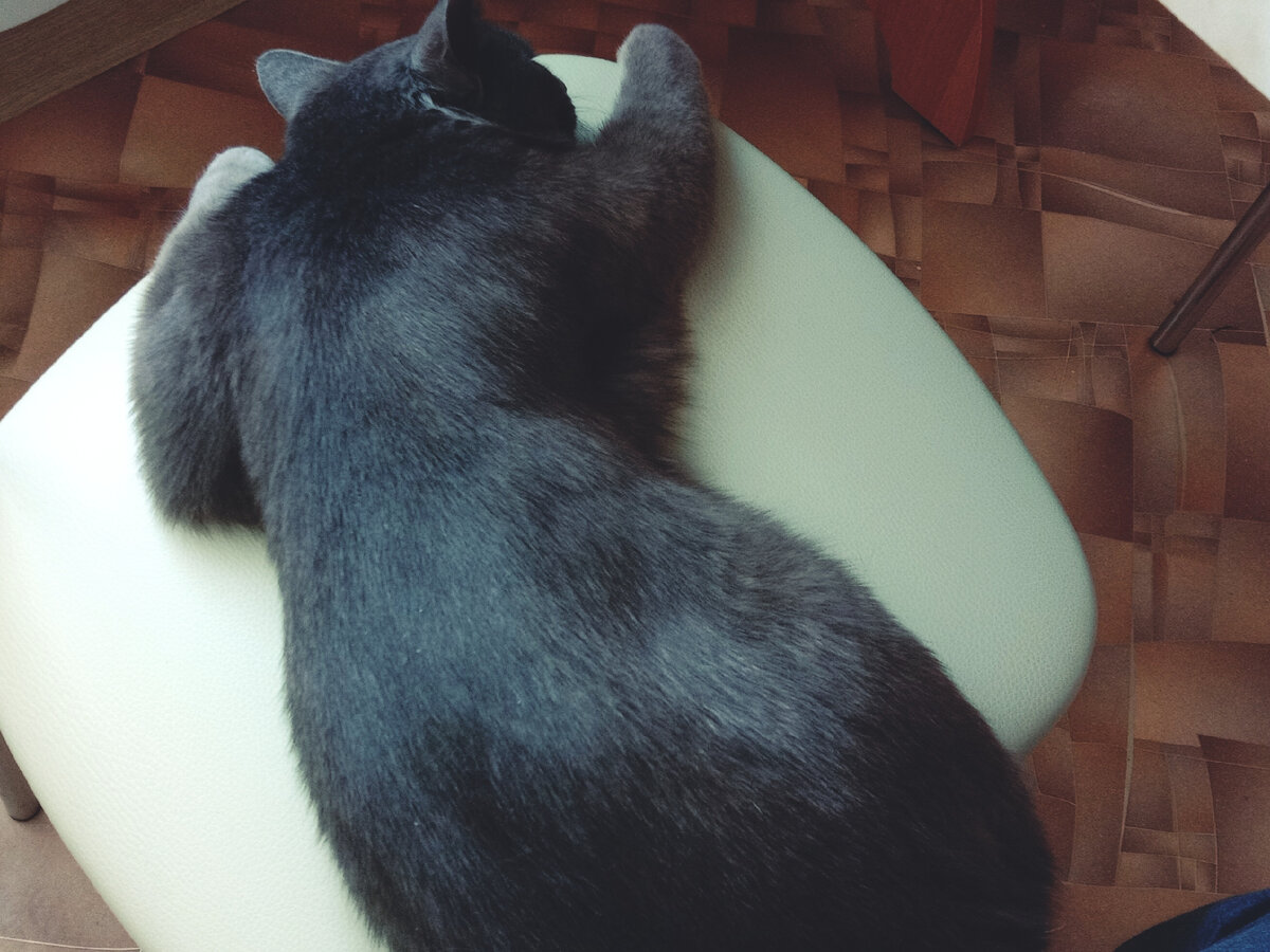 Маленькие и неудобные стулья