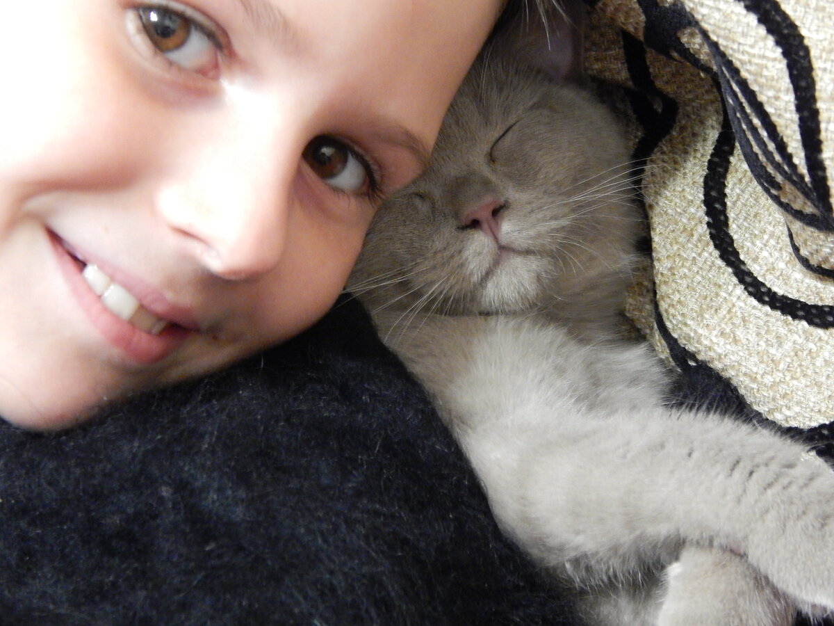 Для чего тогда вообще дома нужен кот, если не для счастья человека?