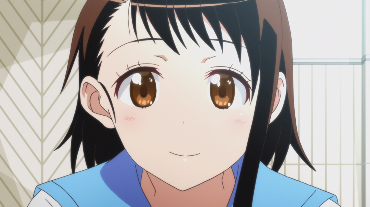 Косаки Онодэра