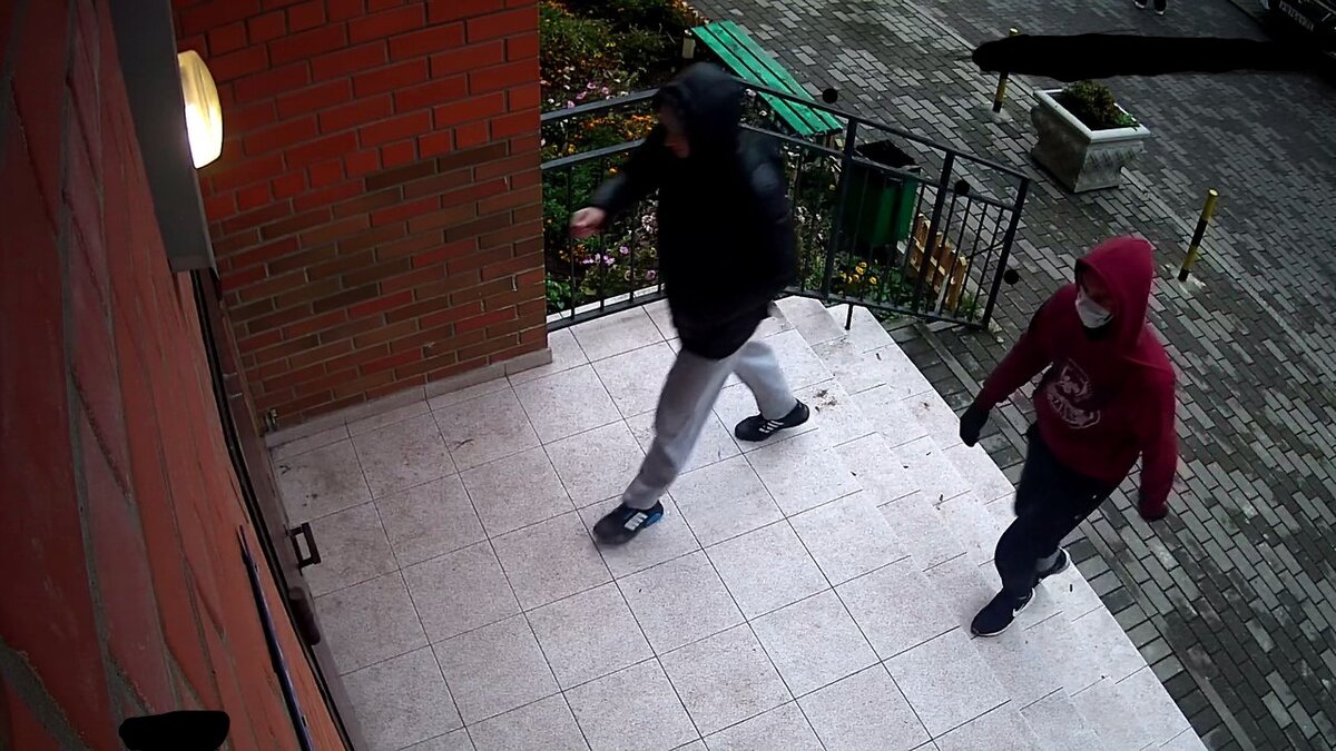 Вот они красавцы