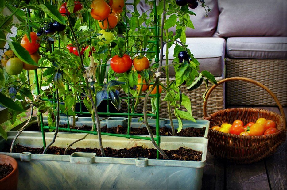 Фото — moodnekodu.delfi.ee