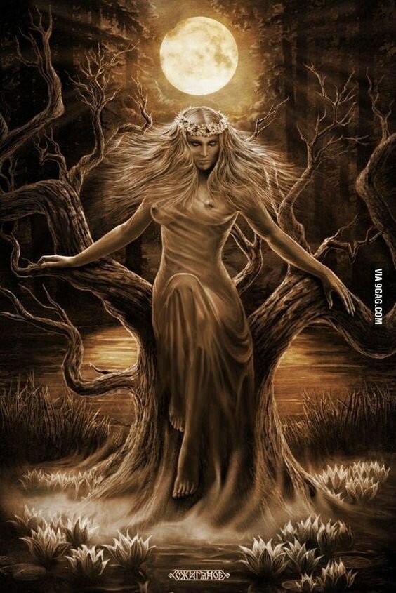 фото Яндекс.картинки