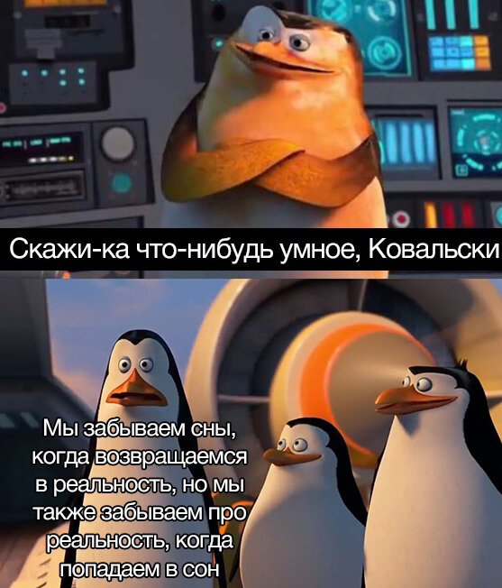 Все изображения взяты из открытых источников