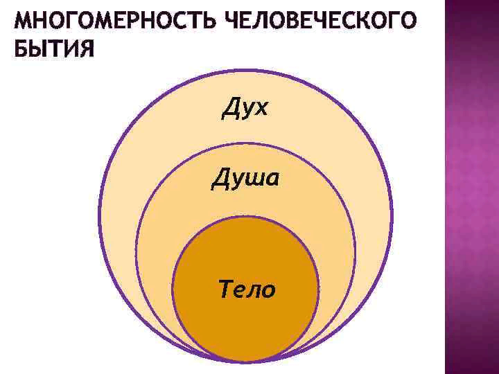 Образ человека в языке слова концепты дух и душа презентация