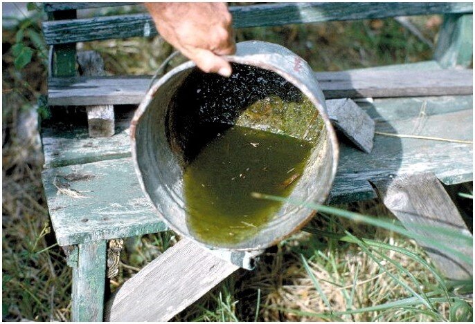 Подойдёт любая стоячая вода