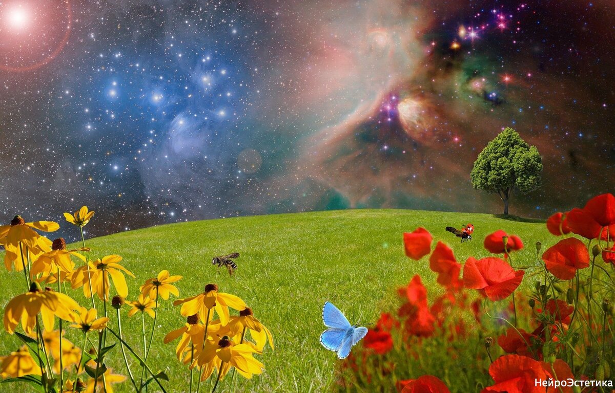 Изображение beate bachmann с сайта Pixabay 