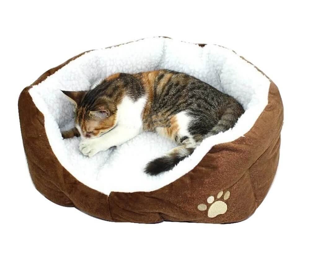 если кошка любит компании и общение, предпочитает находиться в обществе, то лучшим выбором станет приобретение лежака, выполненного в виде корзинки, матрасика с рядом небольших бортиков или совсем без них