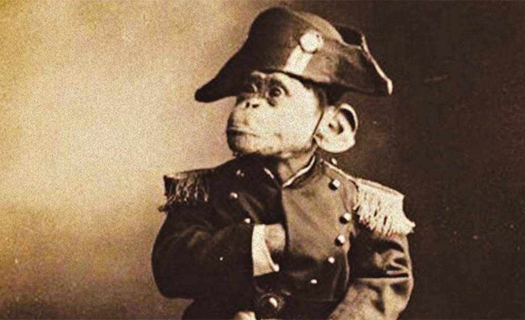 #анекдот #анекдоты самые смешные #анекдоты свежие 