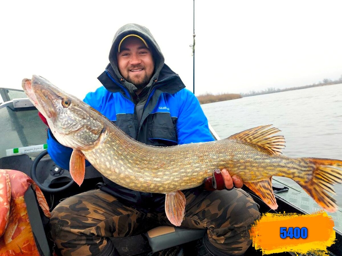 Мой близкий товарищ - Владимир Терешков с недавним трофеем, Беларусь, река Днепр