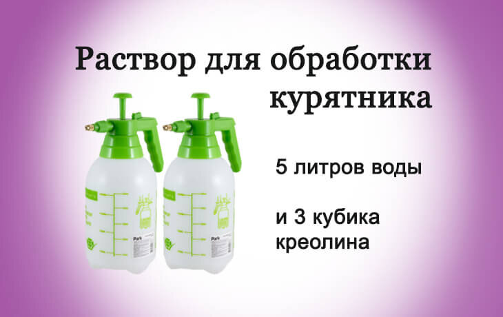 Чем обработать курятник от паразитов. Обработать курятник креолином. Опрыскивание курятника креолином. Дезинфектор для курятника. Жидкость для обработки курятника.