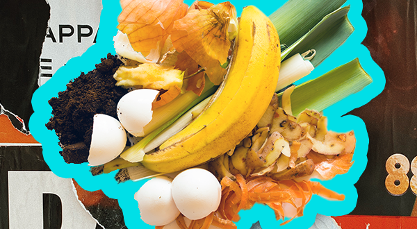 Фото с сайта https://blog.hubspot.com/hubfs/food_scraps.png