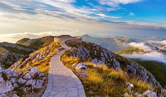 из свободного доступа.