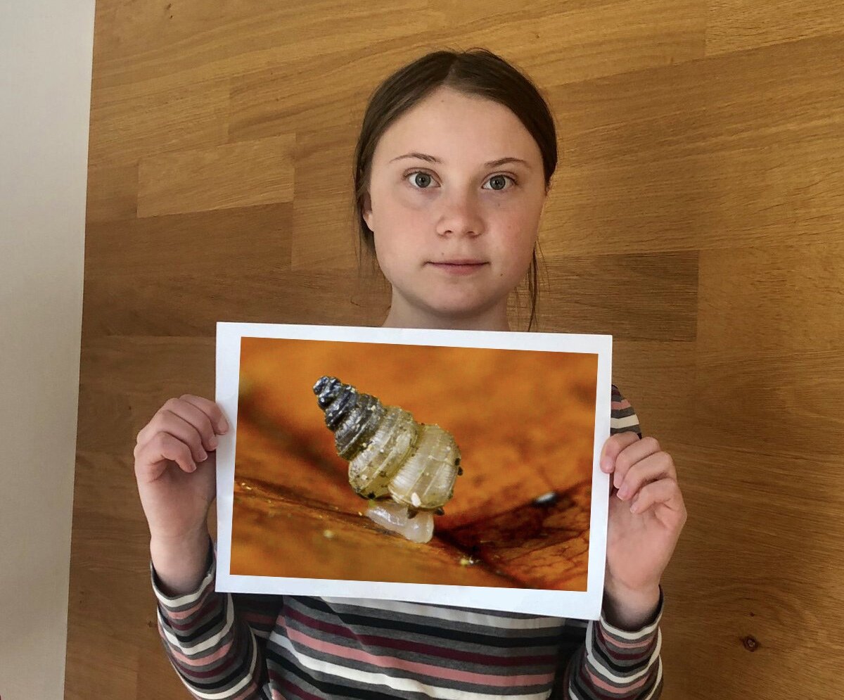 Greta Thunberg Syndrome