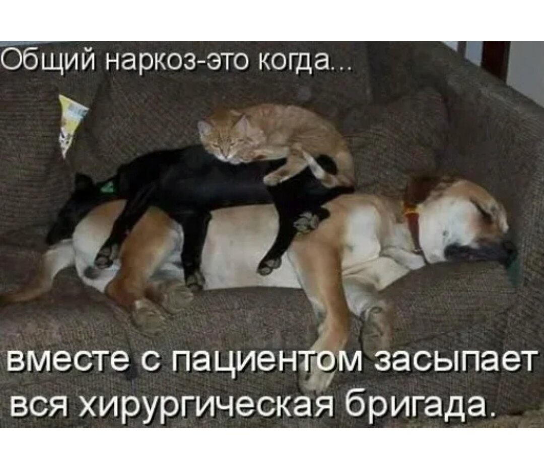 Из интернета