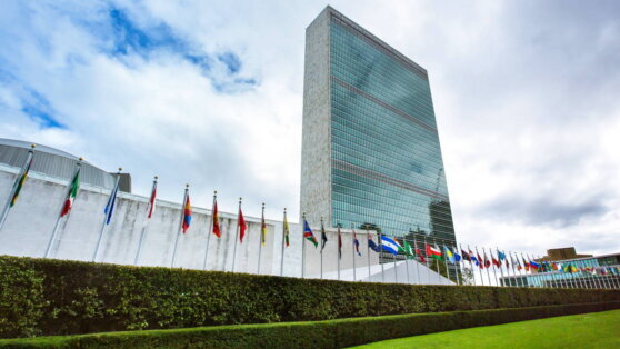    В ООН ознакомились с кадрами пыток российских пленных бойцами ВСУ Анна Белая