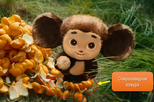 Масштаб бедствия