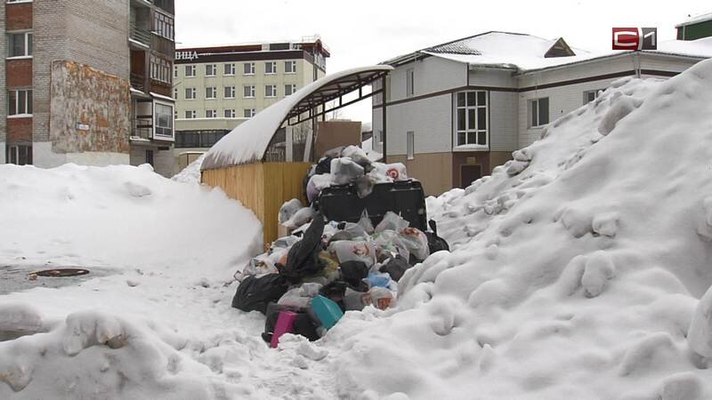    Во дворах Сургута образовались снежные кучи. К каким проблемам они приводят
