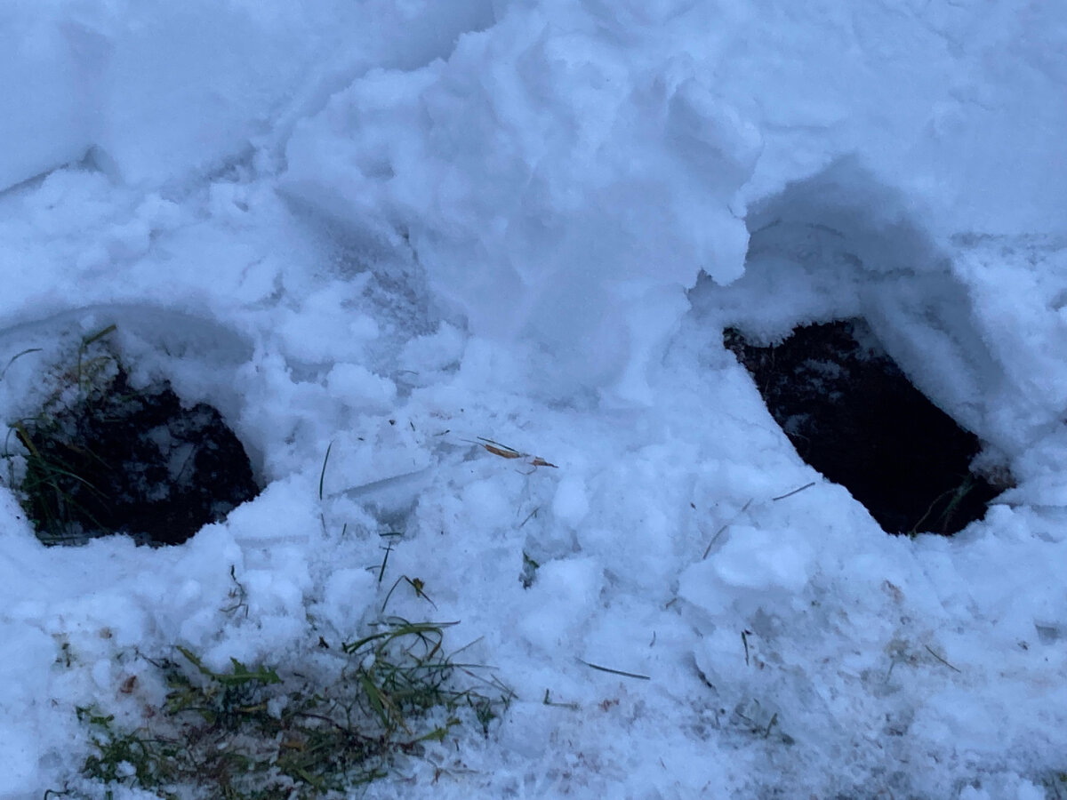 11 декабря 22 года. Фото из личного архива 
