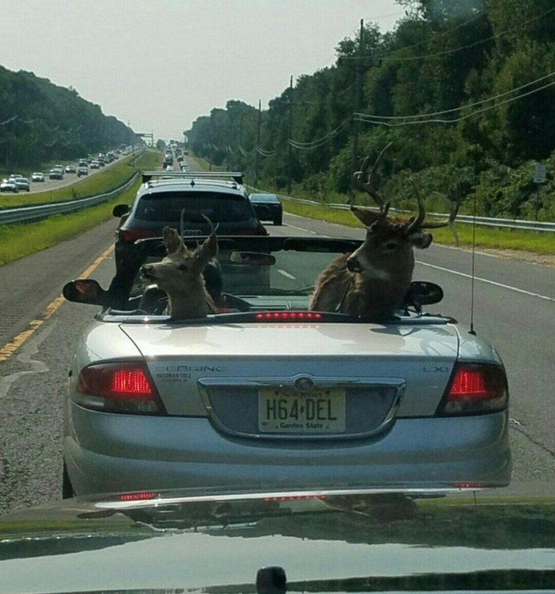 Смешные ситуации. Смешной случай. Забавные ситуации. Забавные ситуации из жизни. Смешной журналист.