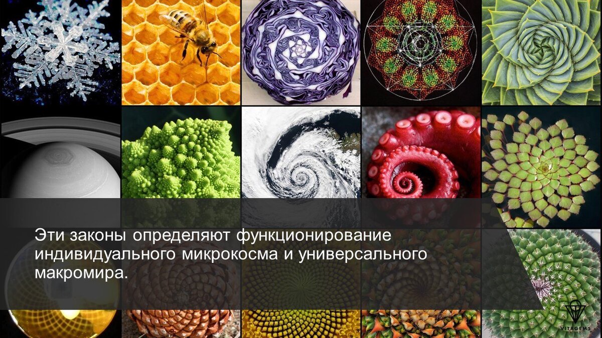 Фрактальная природа всего