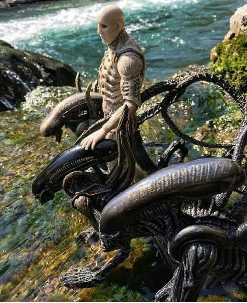 Не чужой человек история