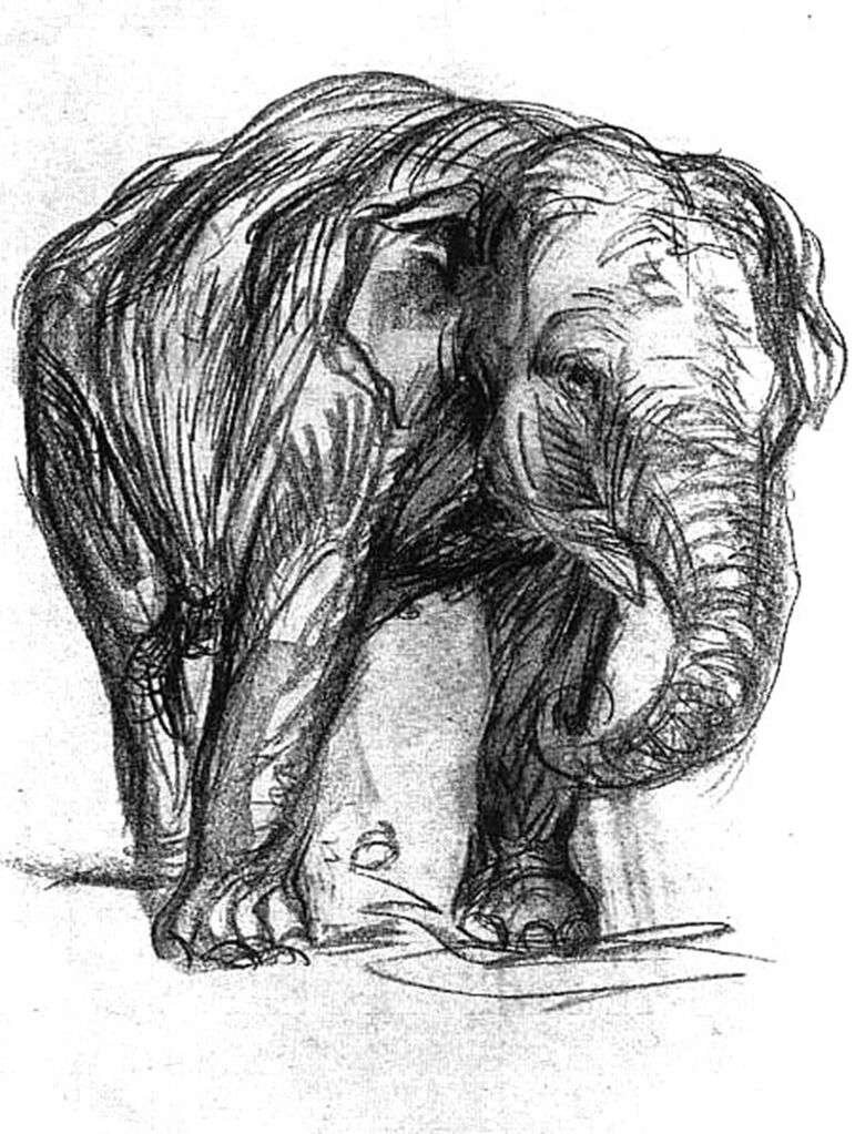 Франц Марк Elephant