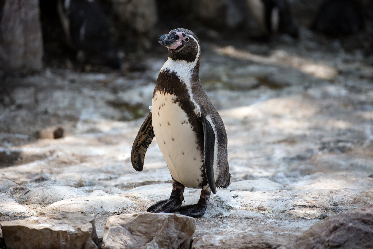   Фото: istockphoto