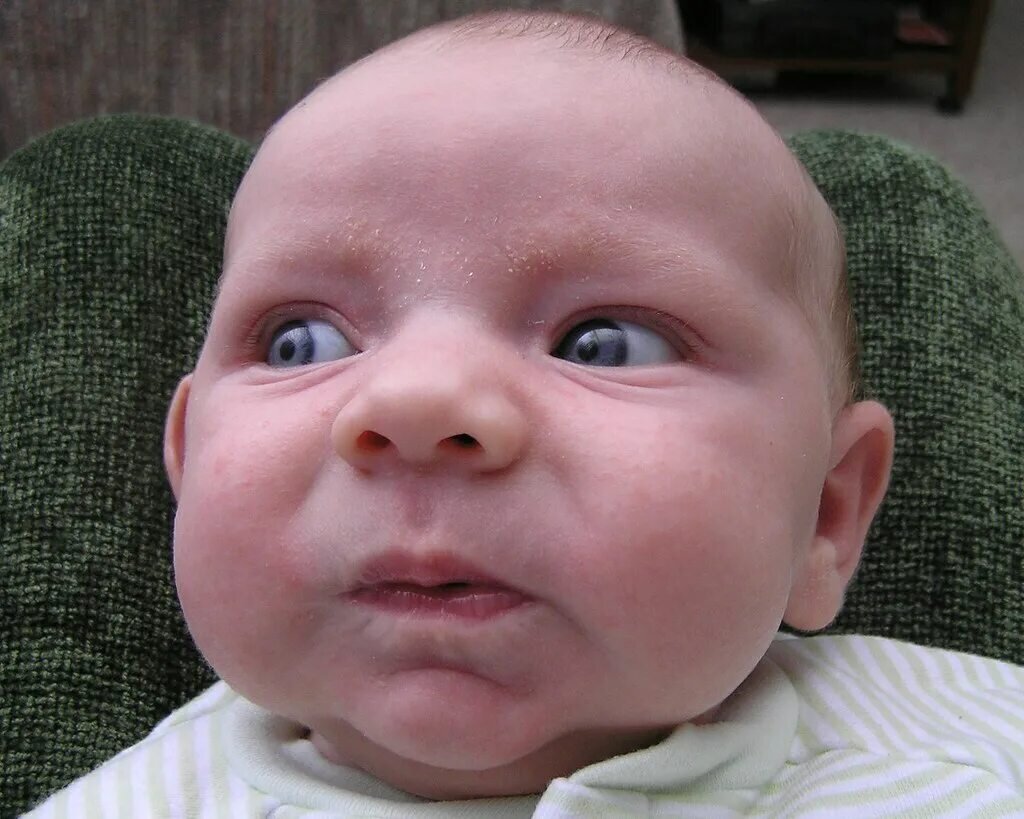 Картинка из свободного доступа