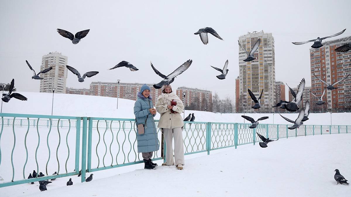    Фото: Артур Новосильцев / АГН Москва