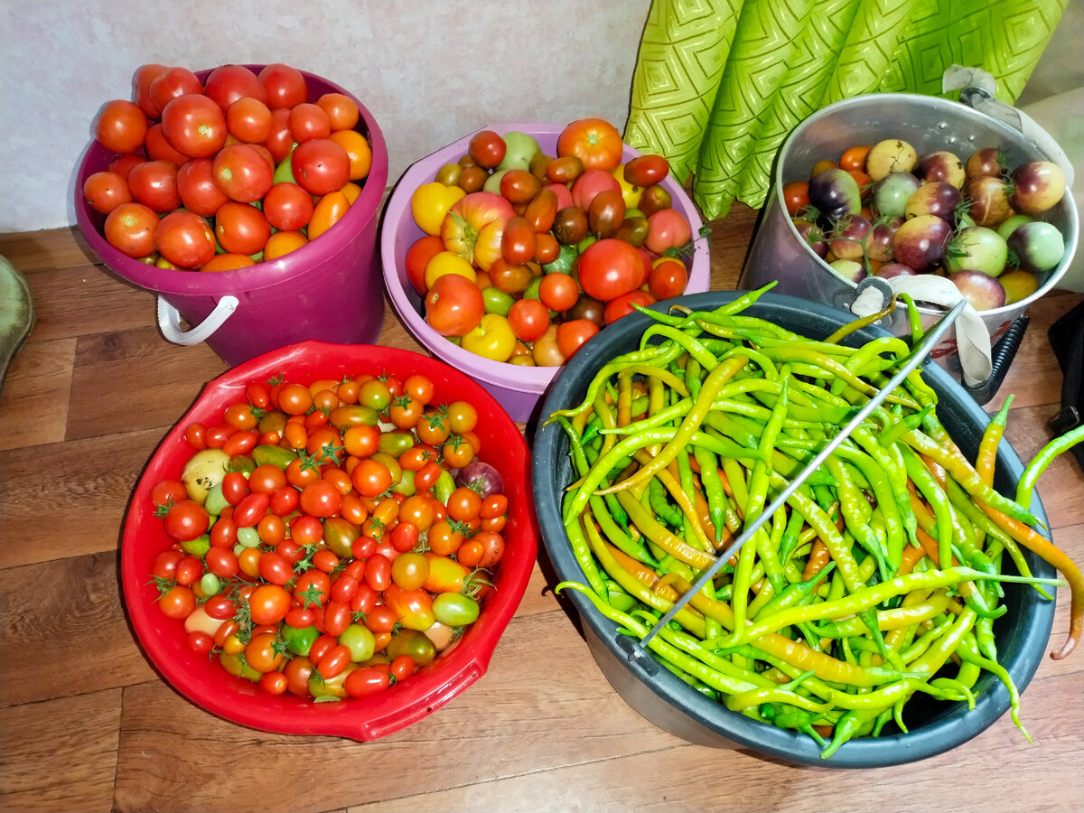 Заветное ведро на 25 литров.