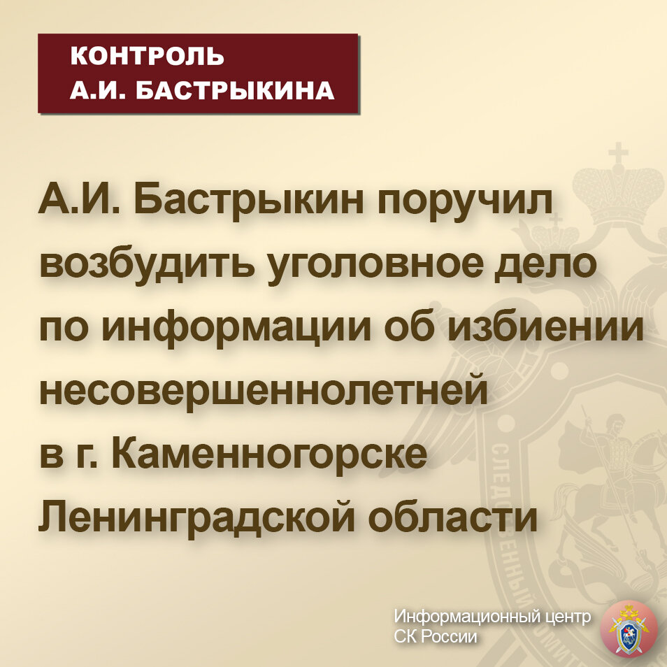 А.И. Бастрыкин поручил возбудить уголовное дело по информации об избиении  несовершеннолетней в г. Каменногорске Ленинградской области |  Информационный центр СК России | Дзен