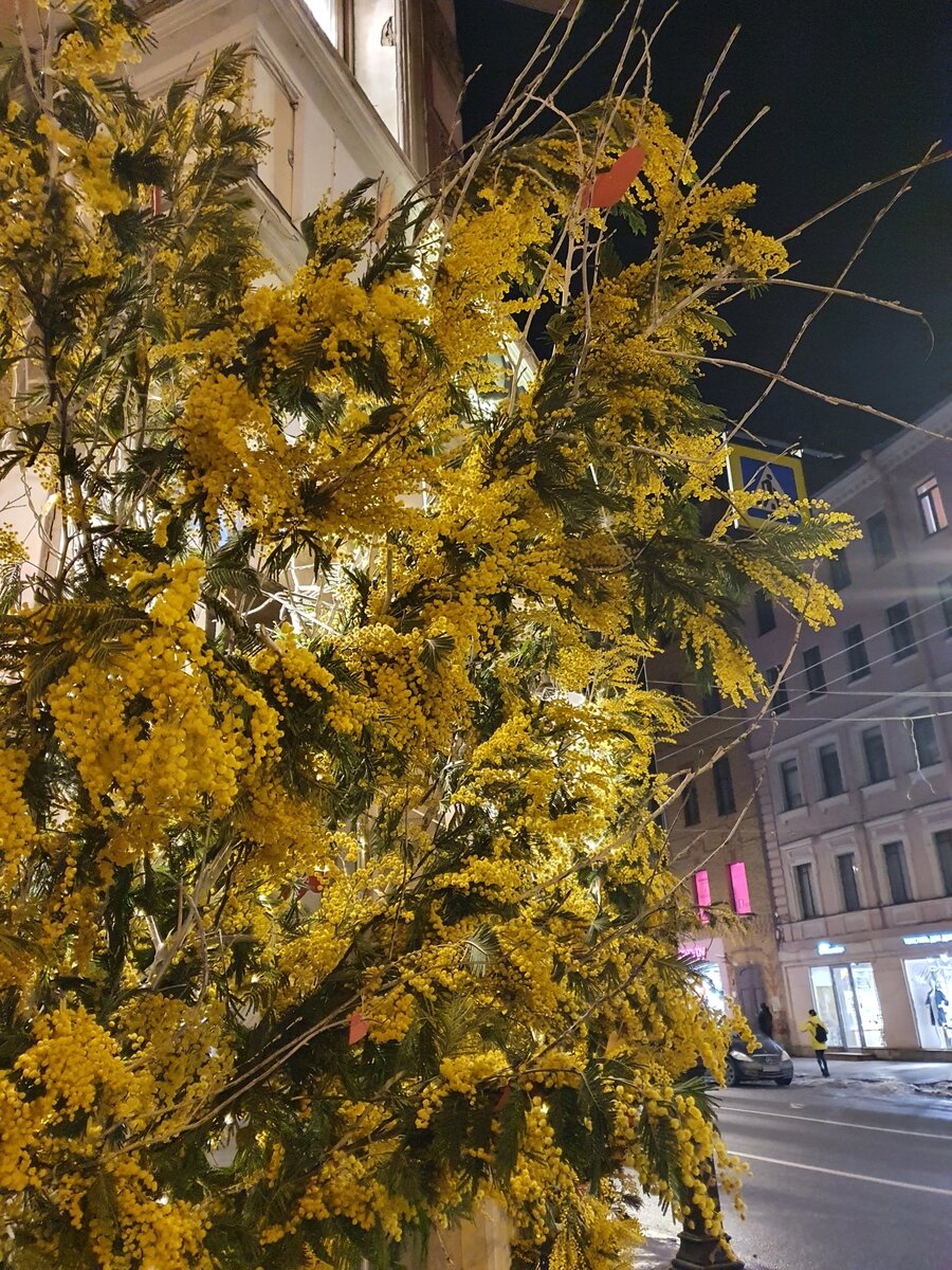 Украшение бара на Петроградской стороне, в ожидании весны.