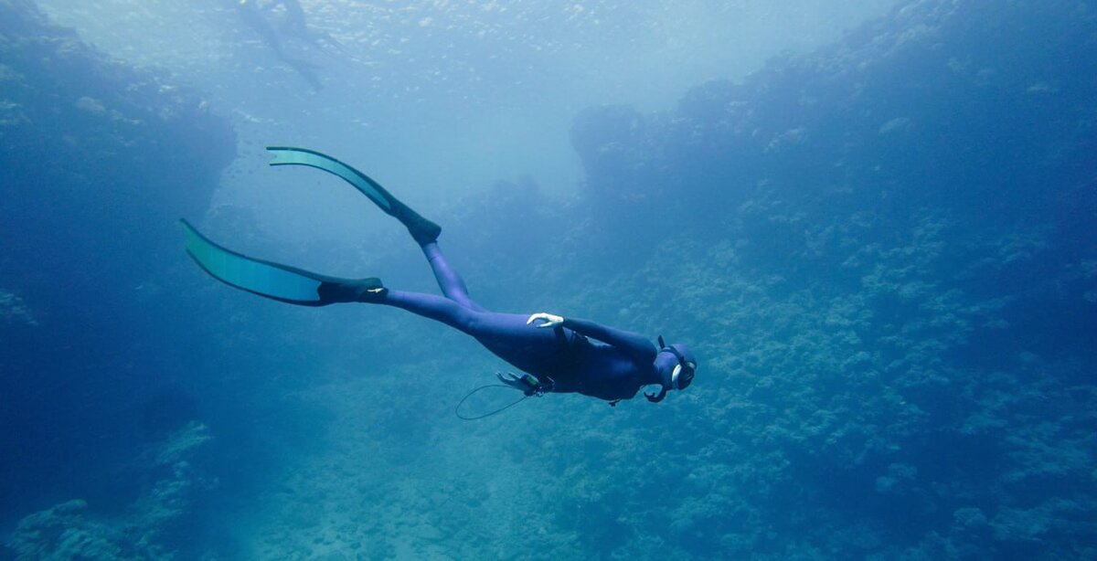 Dusit Thani Maldives сноркелинг