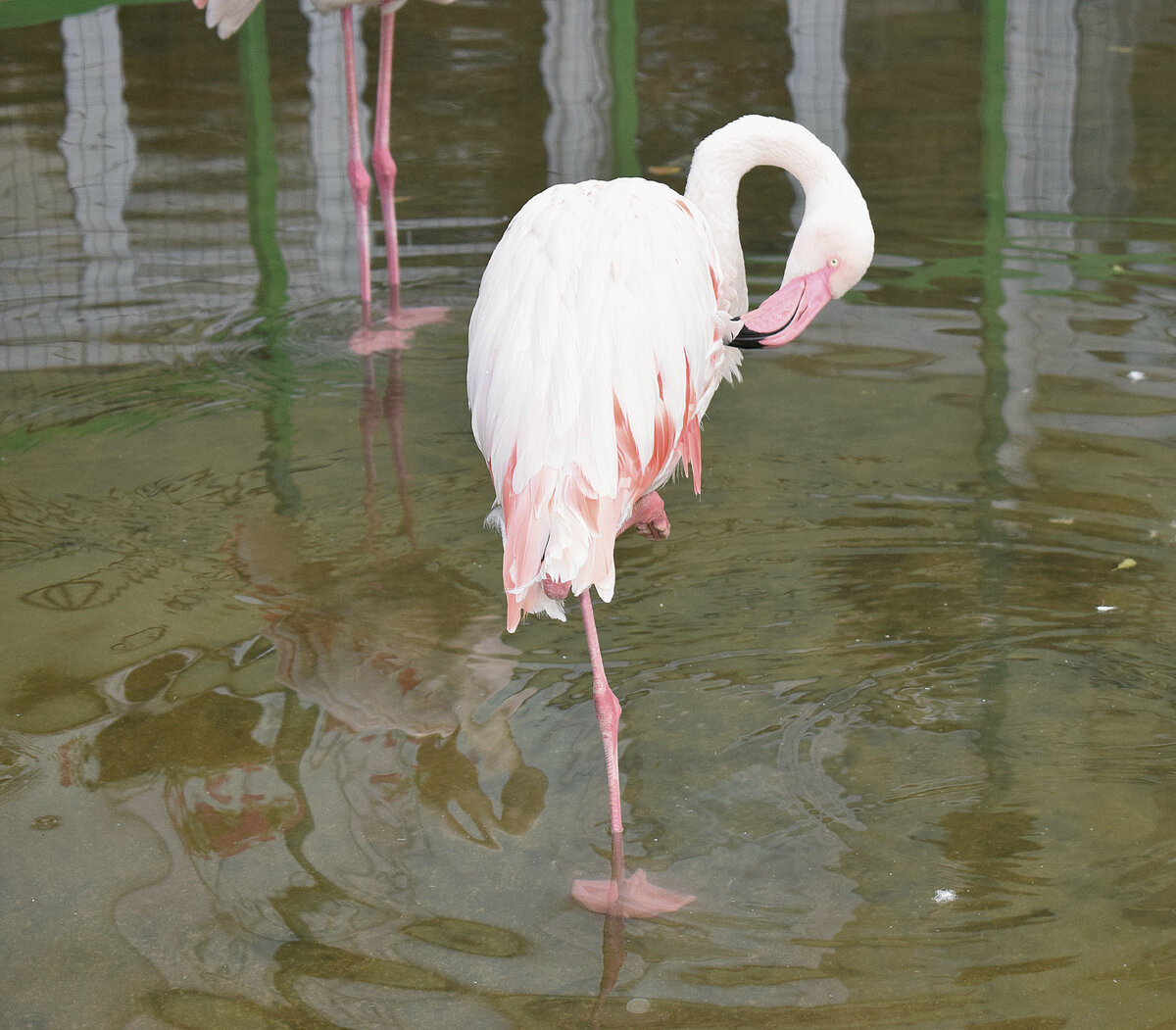 Амбулаторный прием | Блог акушера | Дзен