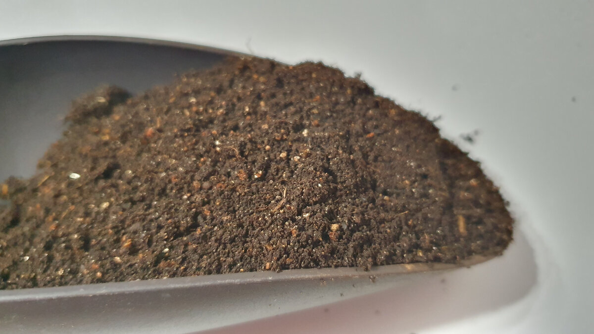 Своя земля самая лучшая.