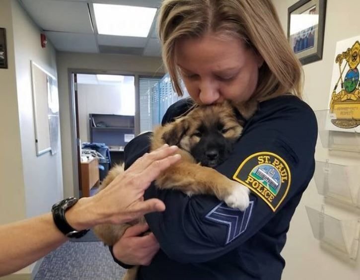      Офицер Пушок для обнимашек