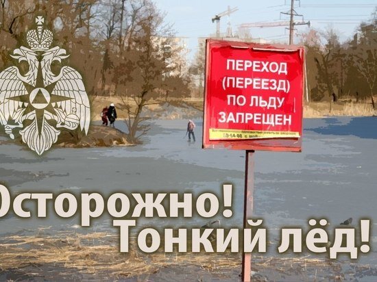     Фото: t.me/mchstomsk.