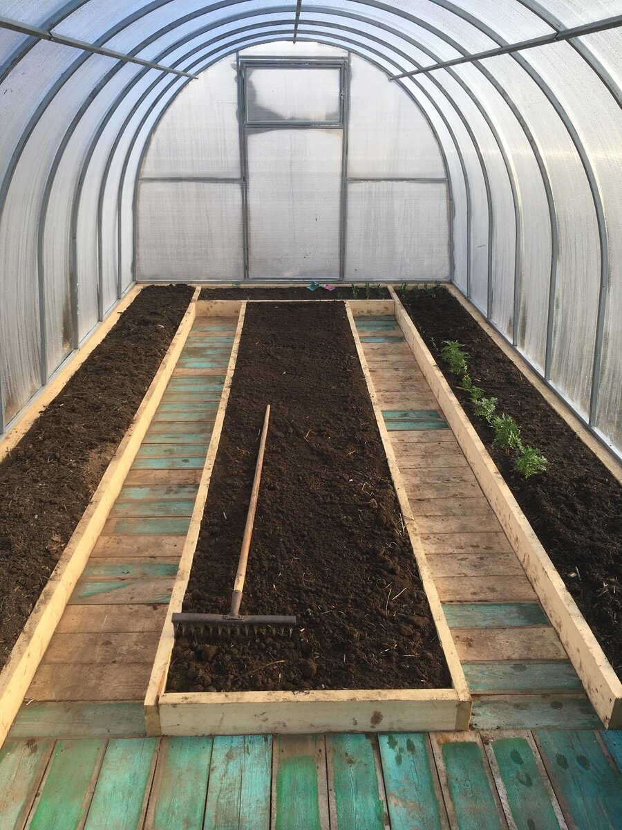 Такое расположение в моей теплице