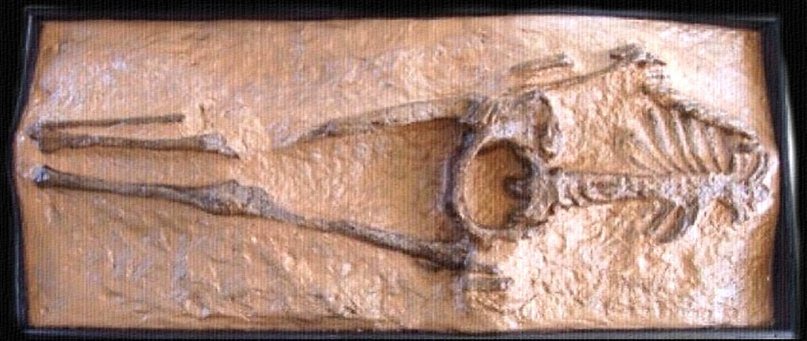 Человечество – это невероятно древняя цивилизация