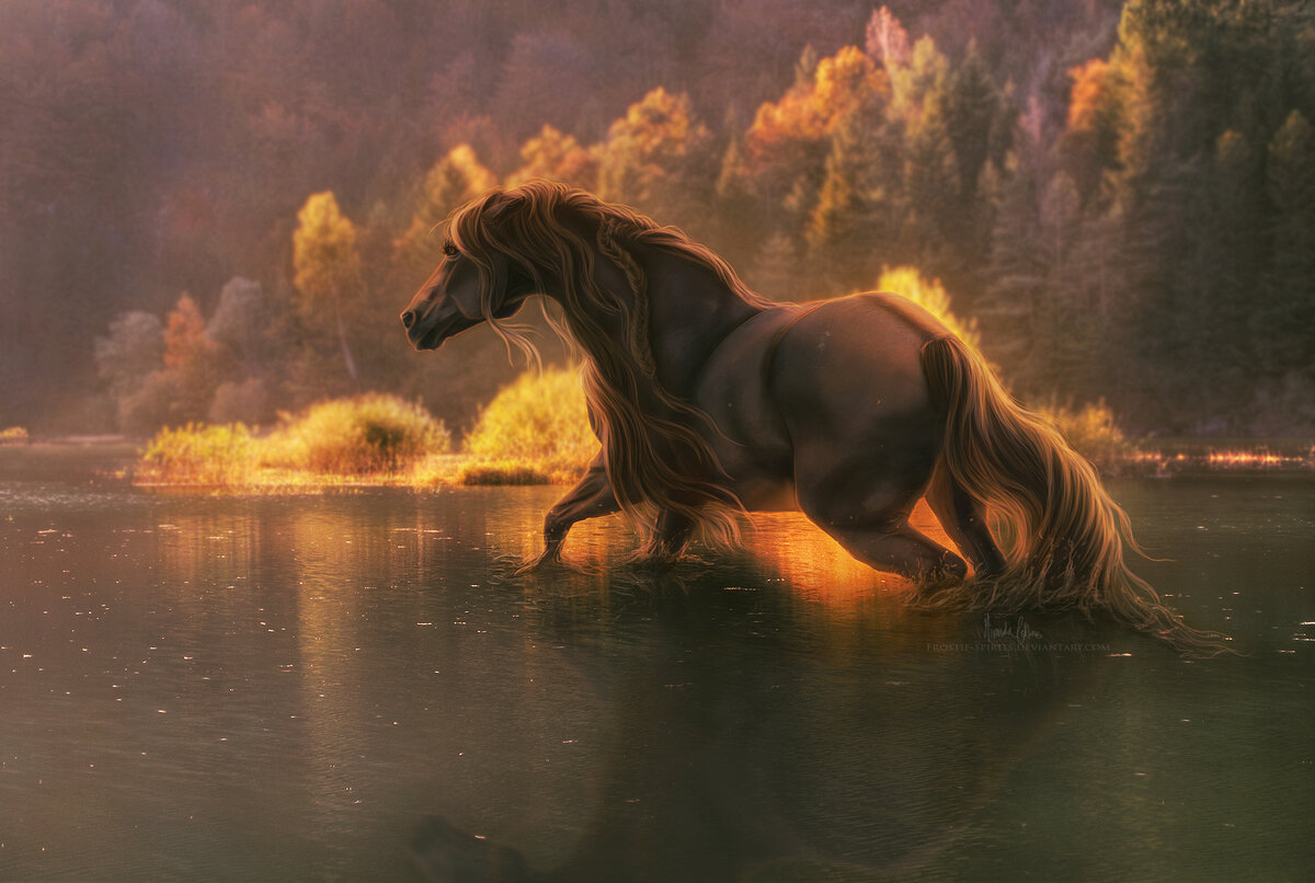 Изображение из открытых источников