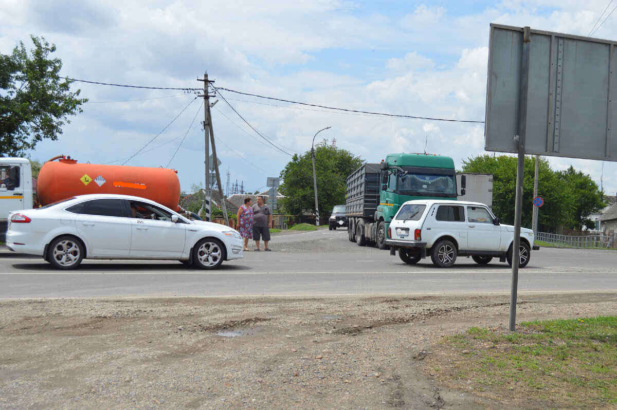 Фото автора. Июль 2023. Самый оживлённый перекрёсток города. Как они на нём оказались? Заблудились наверное!