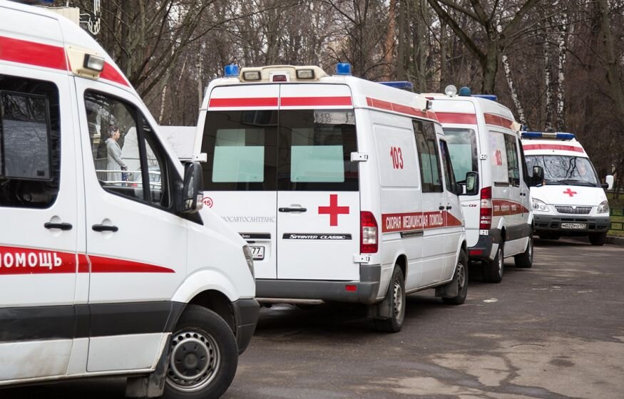    Эксперты оценили риск распространения сибирской язвы в РФ