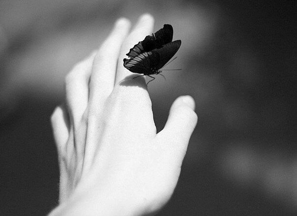 Фотография с открытого источника