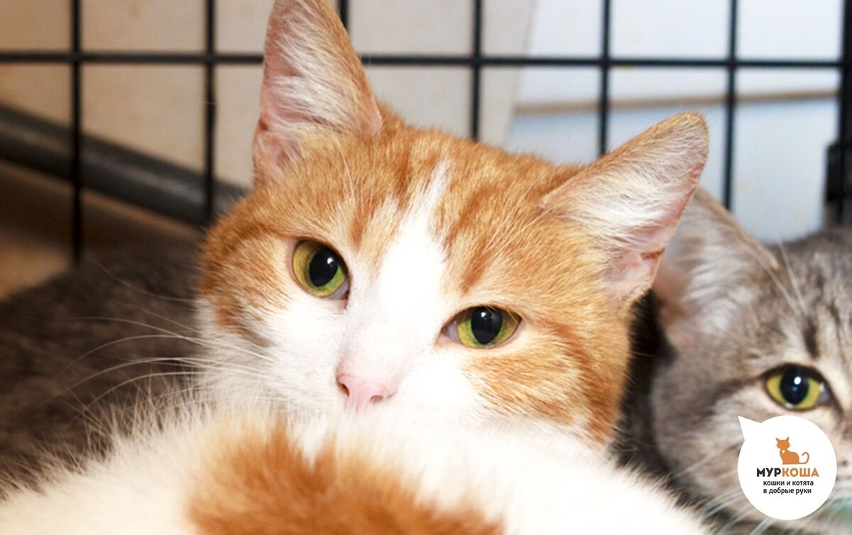 Она искала, кого согреть своим теплом...